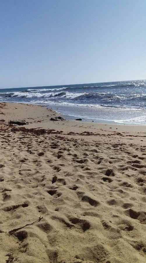 Le Parisien 1 Lejlighed Serra d'El-Rei Eksteriør billede